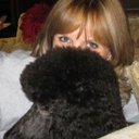 Patsy Purcell - @Poodlelady33 - Twitter