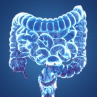 腸へい🗣腸管免疫 (@immune_power) 's Twitter Profile