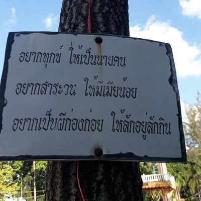 RL07Vu6PHccInRJ's profile picture. เอ้าดอร์