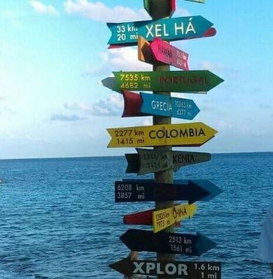 Adriana44669383's profile picture. 