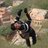 bansalsandeep79's profile image