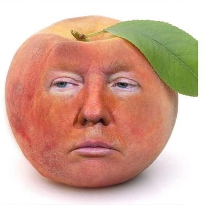 ImpeachedTrump6's profile picture. #resist #FBR #votebluenomatterwho