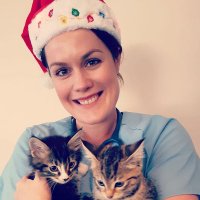 Dr Bronwyn Orr (@bronwyn_orr) Twitter profile photo