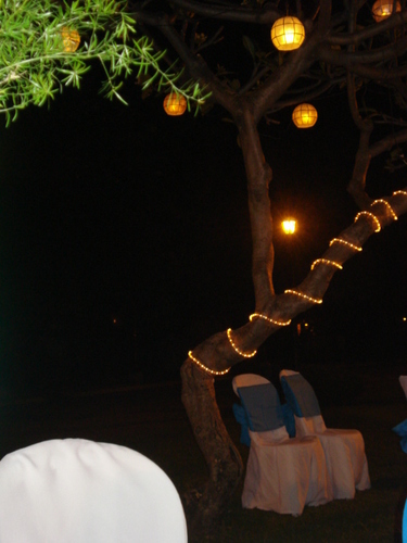 leizelclara's profile picture. working at the city govt. of Laoag