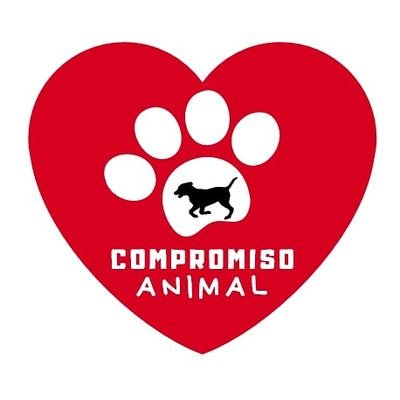 Protectora de Animales de El Burgo
HAZTE SOCI@ (solo 4€/mes) escribiendo a protectoraelburgo@gmail.com