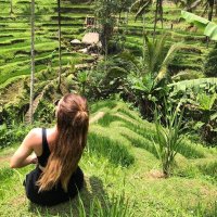 Marlene (@marlene_wilson8) 's Twitter Profile