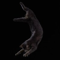 π±π¦π©π© π΄π« πΏπ₯π’ ππ©ππ«π¨π° (@f_1_t_13) 's Twitter Profile
