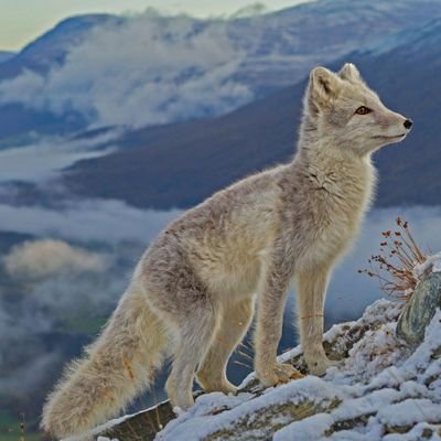 ITwiThere4IAm's profile picture. 