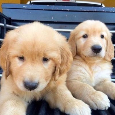 darthjeditt's profile picture. 