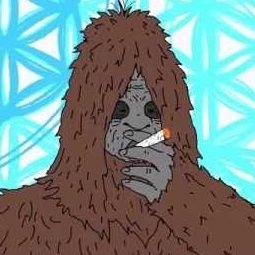 XIcharlo's profile picture. @CollectiveXI | Valorant Streamer