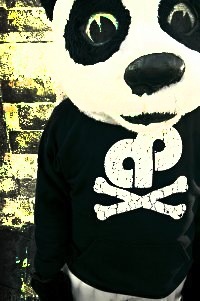 MVscore's profile picture. 