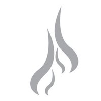 Wildfire Films (@wildfirefilm) 's Twitter Profile