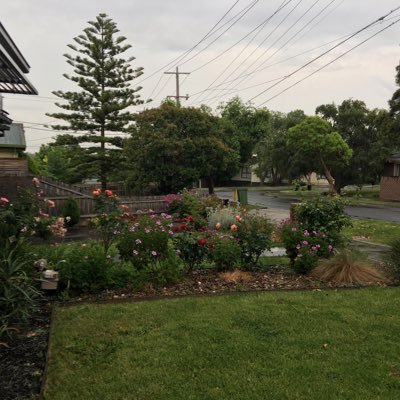 hawad31's profile picture. 