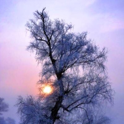 kyonnta_m78's profile picture. 