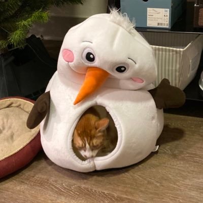 marypaulisgmai1's profile picture. 