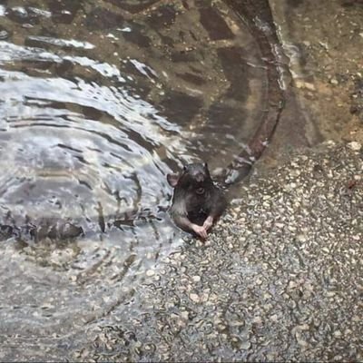 Alaa____19's profile picture. 