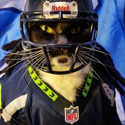 The Seattle Sea-Cats. Geeky Seattle Sports loving Costuming Cats. Brother Account to @Cat_Cosplay. 
#SeaCats