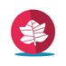 Cdn School Libraries (@CdnSchoolLibrar) Twitter profile photo