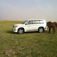 خاص بالذهيب ابو يزيد العتيبي (@1398sehli) 's Twitter Profile Photo