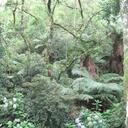 Bruce McBee - @blmcbee - Twitter