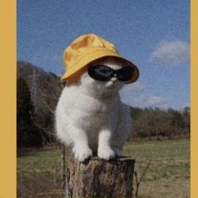 newpages_'s profile picture. 𝕃𝕖 𝕡𝕒𝕦𝕣𝕖 𝕔𝕙𝕖 𝕤𝕖𝕟𝕥𝕠 
𝕢𝕦𝕚 𝕕𝕖𝕟𝕥𝕣𝕠 𝕕𝕚 𝕞𝕖
𝕤𝕠𝕟𝕠 𝕡𝕒𝕣𝕠𝕝𝕖 𝕞𝕒𝕚 𝕕𝕖𝕥𝕥𝕖🌱