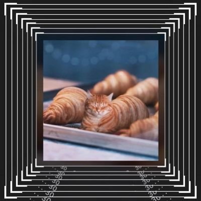 Alessia19279791's profile picture. cazzo mene