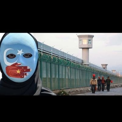 Bahadir3311's profile picture. sonumuzu hayirli eyle allahim