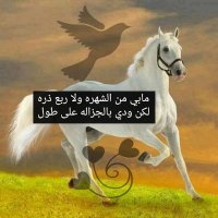 ( بنت السعد ) (@bant_5555) Twitter profile photo