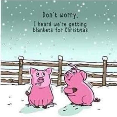 LouiseS79443824's profile picture. 