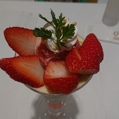 paloverde0416's profile picture. 