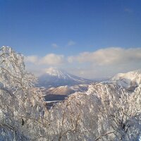 冗談ではない (@05020192608) Twitter profile photo