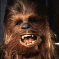 Wookiee Wanderer(@wookieewanderer) 's Twitter Profile Photo