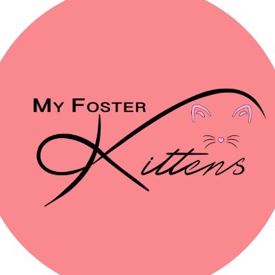 Kitten Foster Mom specializing in caring for neonatal & critical care kitties. Documenting the lives of my fosters & promoting TNR