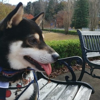 micchan_yuki's profile picture. 