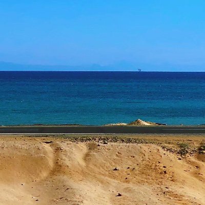 zhou49487723's profile picture. 