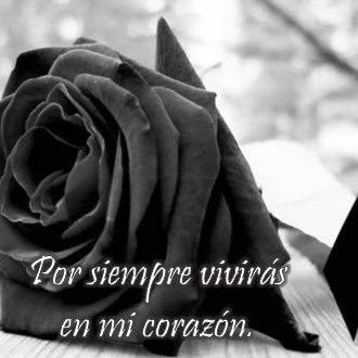 soy singles tengo pareja pero no se anima me dice qué ella es sólo para mi y no se va a dejar tocar x nadie solo por mi otra cosa soy bi inter