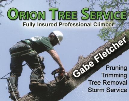 Fully insured tree service serving the Southern Tier of NY. Specializing in tree removal, trimming, pruning, storm service.