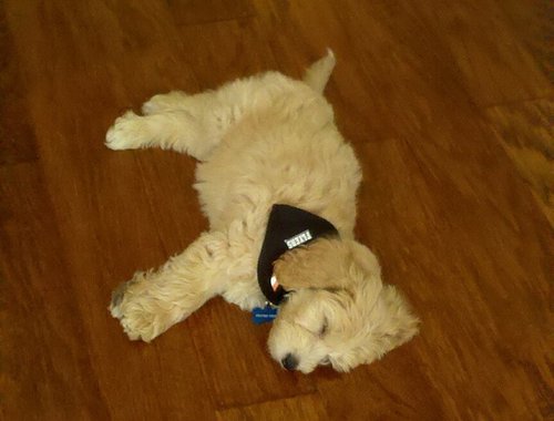 PhillyFlyers's profile picture. 