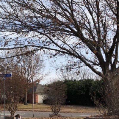 Bene_algh's profile picture. 