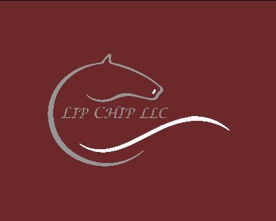 LipChipLLC Profile Picture