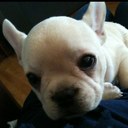 Andrea Knapp - @callimac - Twitter