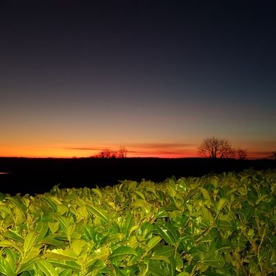 AFitz82's profile picture. 