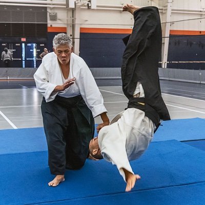 Associate Professor, Critical Black Studies, Bucknell University,     4th Dan Aikido Instructor