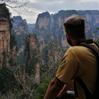 martinotano's profile picture. 