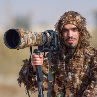 بدر محمد القاسم🇸🇦 (@birds_bader) 's Twitter Profile