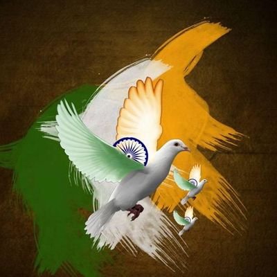 sait_adil's profile picture. 