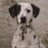 billynikity's profile image