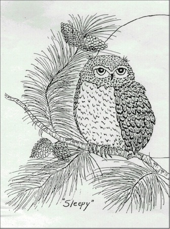 SouthernSleepS's profile picture. The Southern Sleep Society is the oldest regional sleep organization and offers high quality education for members and allied health professionals.