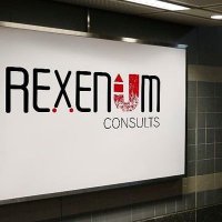 REXENUM Consults (@rexenumconsults) 's Twitter Profile