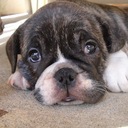 Stuart Fish - @TheFishFactor - Twitter